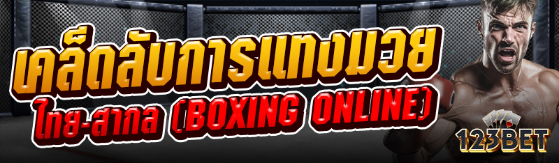 เคล็ดลับการแทงมวยไทย-สากล (Boxing Online)
